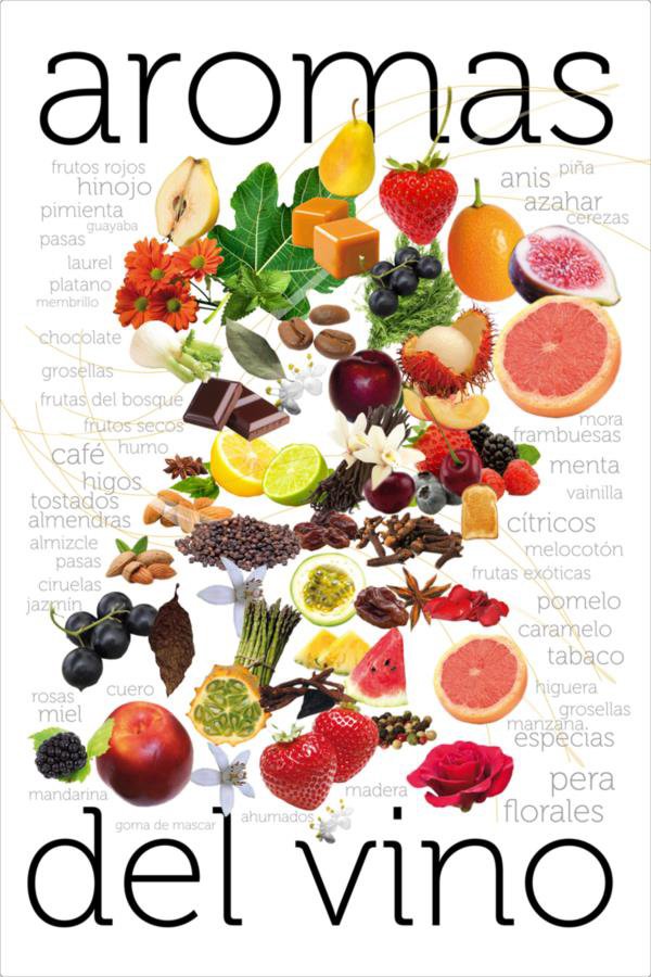 Vino, cata de vino, empresa, olor, sabor, vino blanco, vino tinto, Rioja, Ribera del Duero, Priorat, Verdejo, Albariño, Tempranillo, Garnacha, Cabernet Sauvignon, Merlot, Syrah, Albariño, Albillo,Bastard Negre, Bobal, Cabernet Franc, Cabernet Sauvignon, privado, exclusivo, para todos, mundo del vino