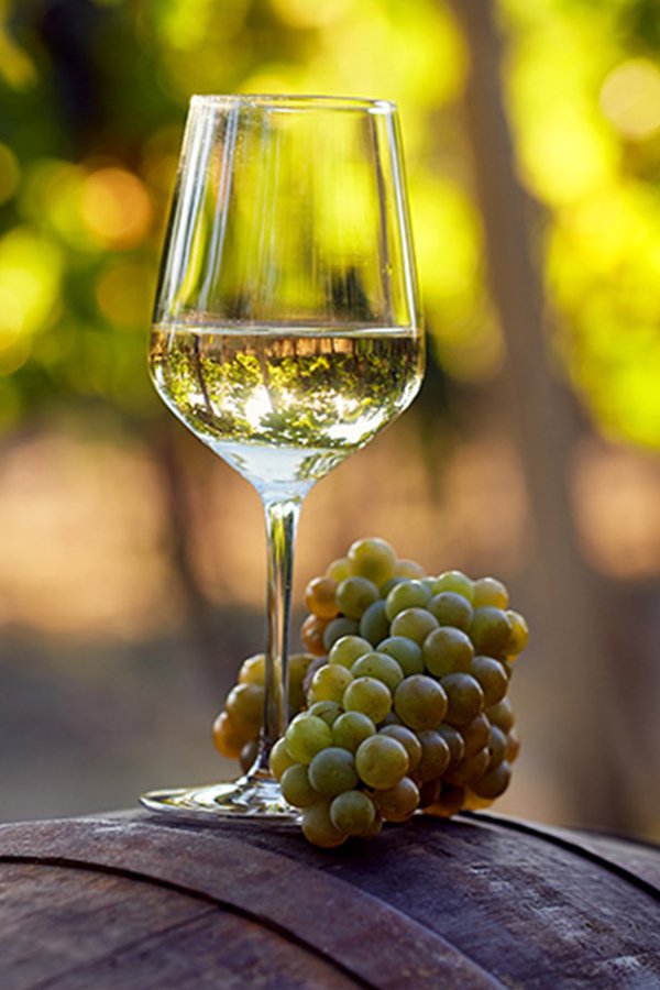 Vino, cata de vino, empresa, olor, sabor, vino blanco, vino tinto, Rioja, Ribera del Duero, Priorat, Verdejo, Albariño, Tempranillo, Garnacha, Cabernet Sauvignon, Merlot, Syrah, Albariño, Albillo,Bastard Negre, Bobal, Cabernet Franc, Cabernet Sauvignon, privado, exclusivo, para todos, mundo del vino